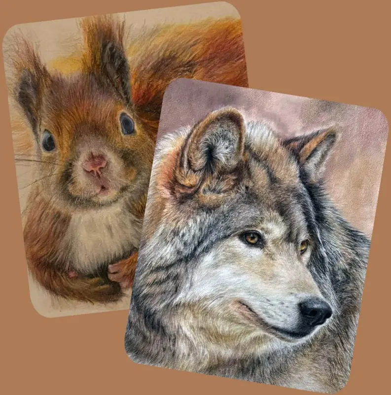 Ardilla y lobo dibujo a lapiz