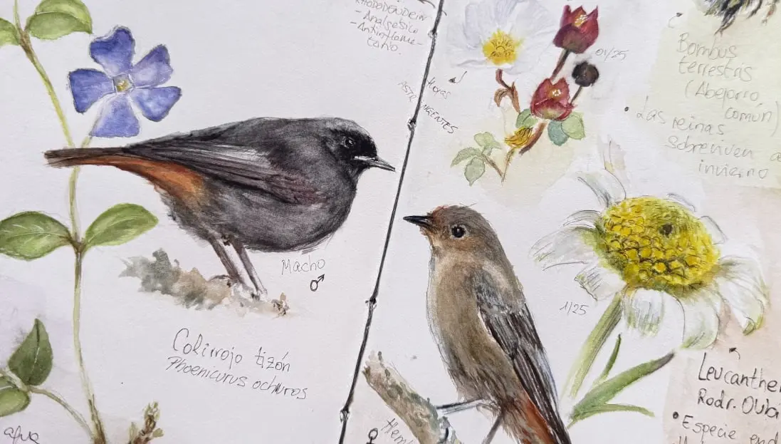 Cuaderno de campo