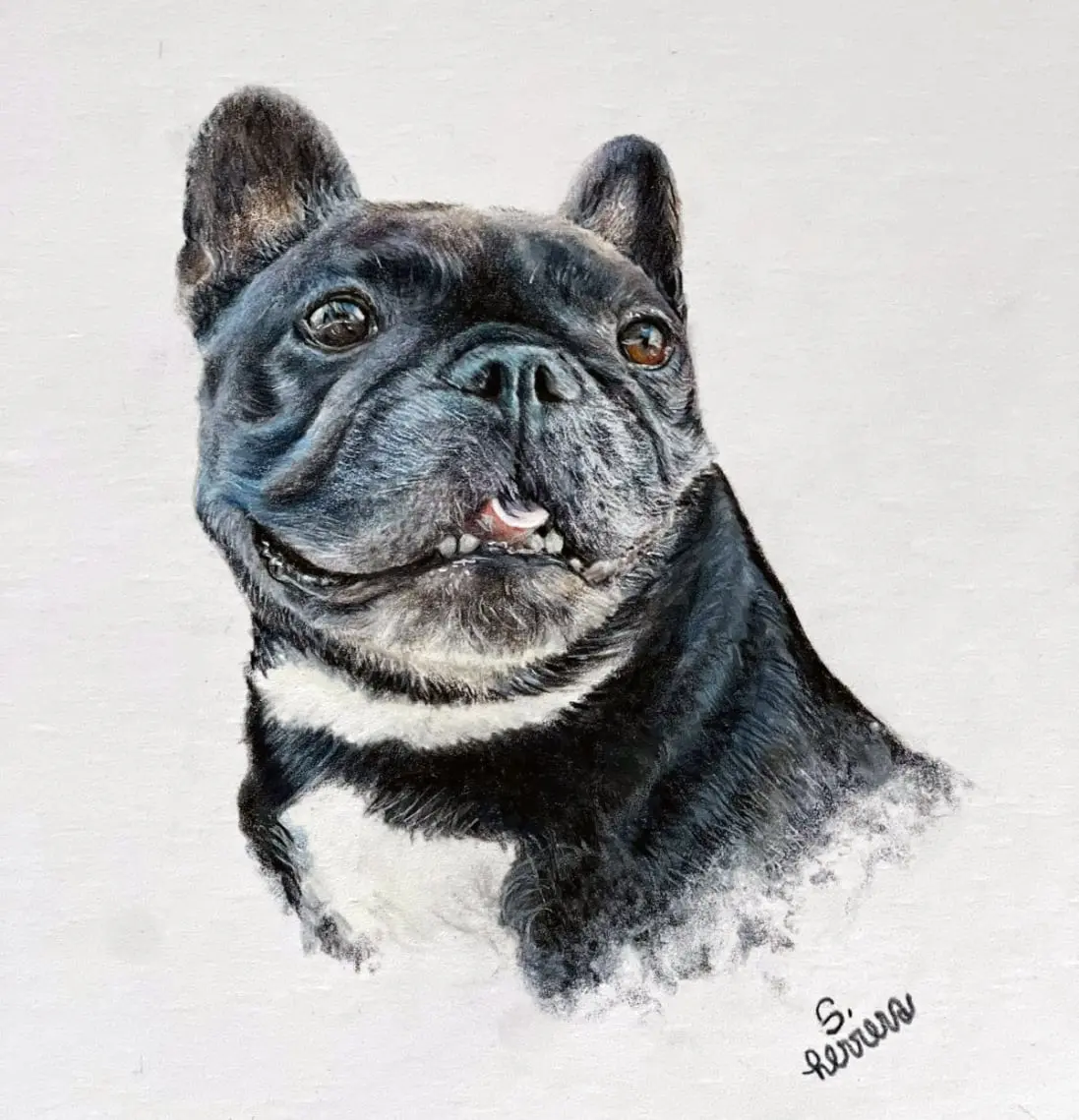 Mascota